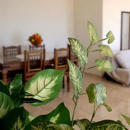 Lilia Villa Paphos